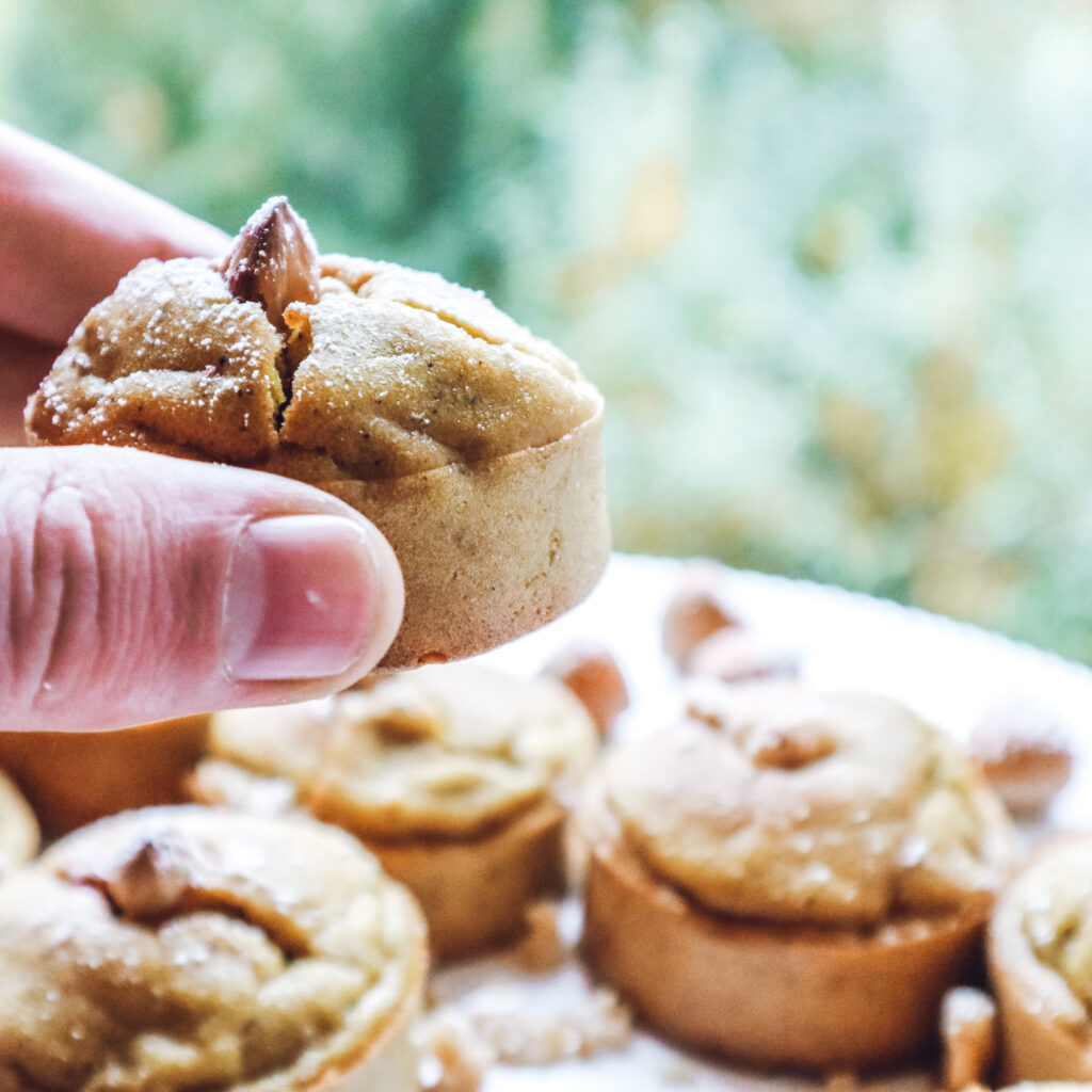 Muffins courge